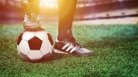 王楚钦亚洲杯男单金牌得主